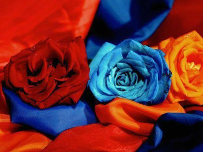 Армения завалила Башкирию цветами