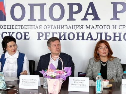 Общественный совет при Башкортостанское УФАС России обсудил вопросы регулирования установки и эксплуатации рекламных конструкций.