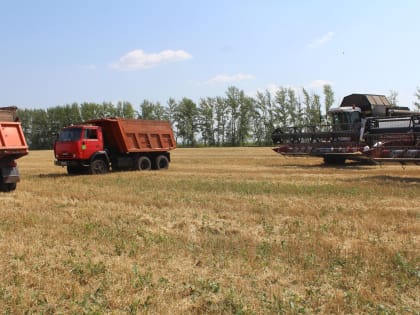 Убрать урожай без потерь