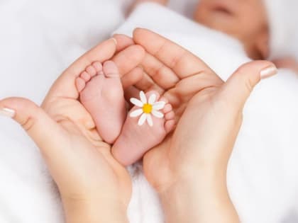 Здравствуй, малыш!