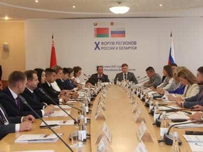 Состоялось совместное заседание руководителей молодежных парламентов России и Беларуси