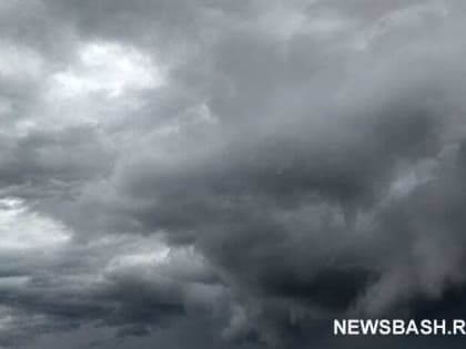 В начале новой рабочей недели в Башкирии прогнозируются дожди