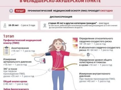 Как часто нужно проходить профилактический медицинский осмотр?