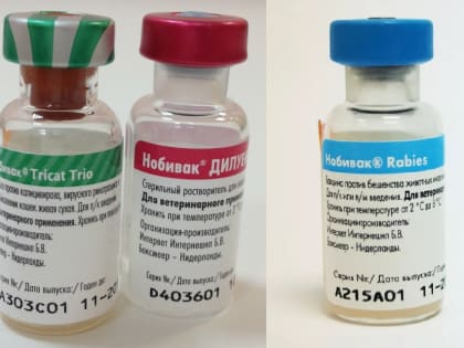 Обращение на территории Российской Федерации лекарственного препарата для ветеринарного применения Нобивак® Rabies
