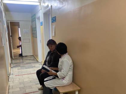 Плановый рабочий визит в медицинскую организацию