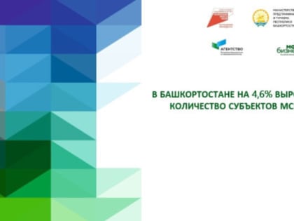 Рост малого и среднего предпринимательства в Башкортостане
