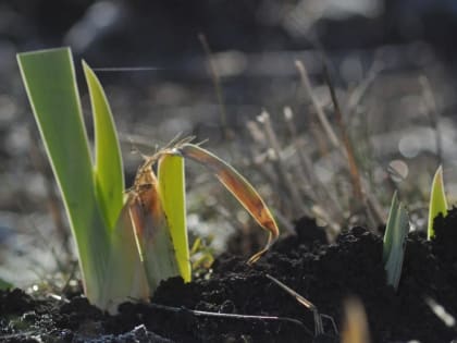 В Башкирии сделали прогноз погоды на май