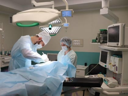 В Башкирии собака откусила мальчику нос