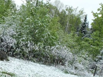 В Башкирии прогнозируются сильный ветер и заморозки