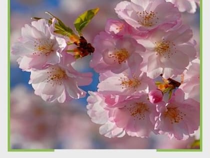 Большое спасибо за ваши улыбки!