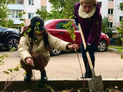 Кустарники спиреи украсили двор Советского района