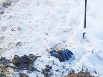 Не выбрасывайте твердый мусор в унитаз!