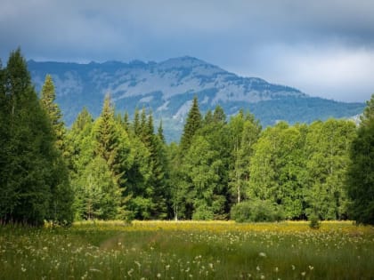 В Башкирии по-прежнему будет жарко