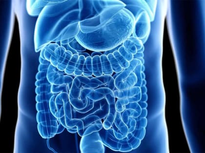 Простой напиток — и кишечник полностью здоров: проблемы с пищеварением останутся в прошлом — рекомендация врача из США