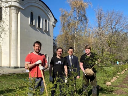 Экологический проект «Посади дерево»