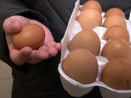 Сколько будут стоить иностранные яйца: власти удивили ответом