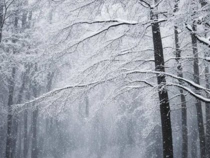 Погода в Башкирии преподнесет еще один сюрприз