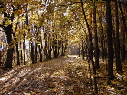 В ближайшие дни погода в Башкирии будет сухой и теплой