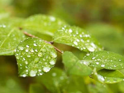 В Башкирии прогнозируется понижение температуры воздуха