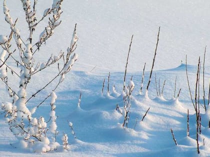 В Башкирии 13 января 2023 года ожидаются сильный ветер и морозы до -25°