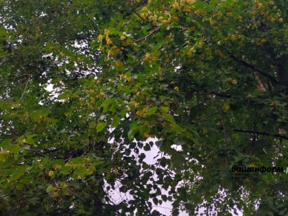 В выходные в Башкирии потеплеет до +22°