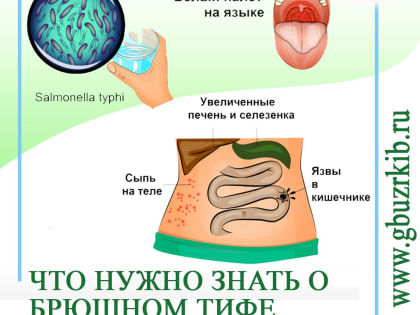 Актуальная информация