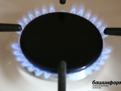 В Башкирии усилят контроль за исправностью дымоходов и газового оборудования