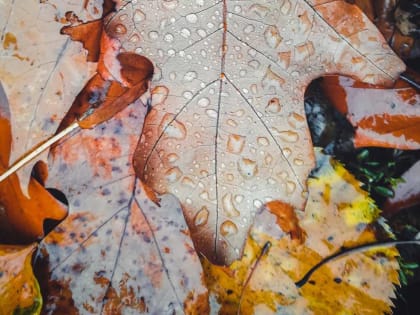 Погода в Башкирии неприятно удивит