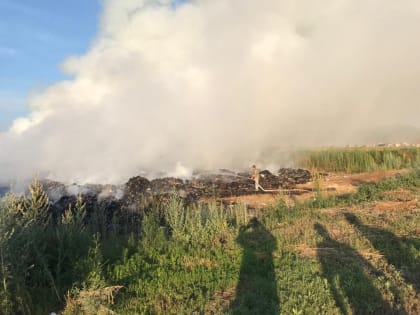 Под Мелеузом загорелся полигон бытовых отходов