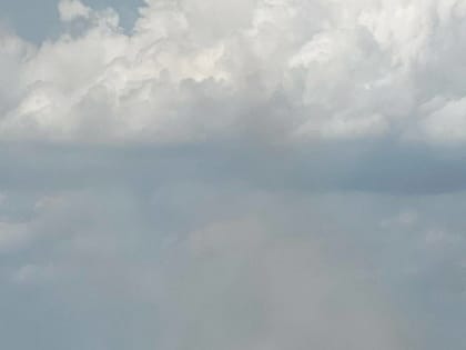 В Башкирии продолжается сжигание птицы из-за опасного вируса