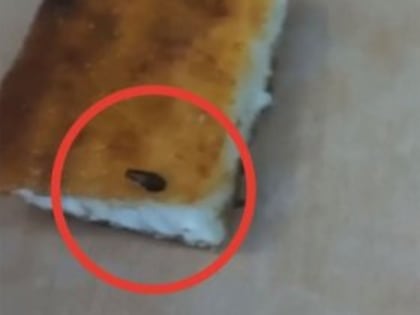 Жительница Белорецка пожаловалась на несъедобную еду в школе, где учится ее ребенок