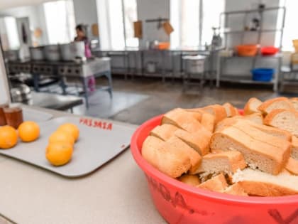 Стали известны подробности отравления детей в одном из лагерей Алтая