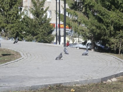 В Уфе потеплеет до 22 градусов