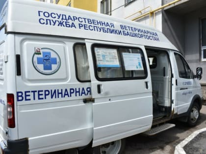 В Башкирии в поездах здоровья вакцинируют и стерилизуют домашних животных