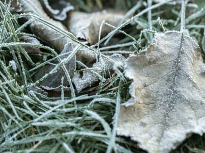 В Башкирии 12 августа температура воздуха опустится до +3 градусов