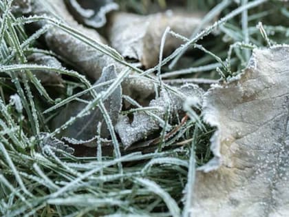 В Башкирии 21 июня возможны дожди и заморозки до -2 градусов