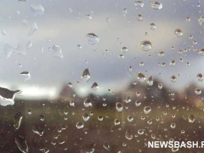 Дожди и сильный ветер: в Башкирии существенно ухудшится погода