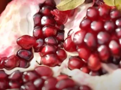 Помогает ли гранатовый сок с медом от рака?