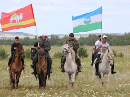 Проблему сохранения лошадей башкирской породы поддержат в Челябинской области