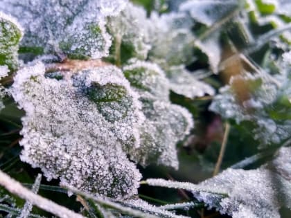 В Башкирию придут заморозки