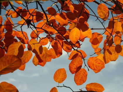 Стало известно, какая будет погода в середине ноября в Башкирии