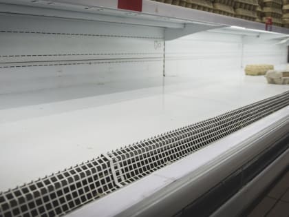 «В течение 7-10 дней»: власти Башкирии сделали заявление по поводу птичьего гриппа