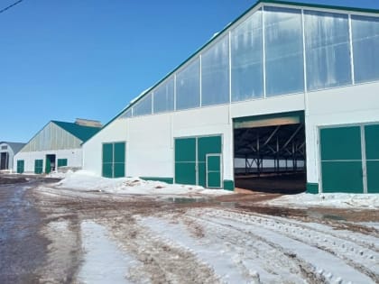 Свыше 2,8 миллиарда рублей вложено за четыре года в фермерские хозяйства Башкирии