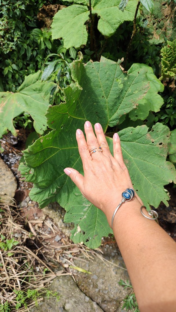 Pulseira em Prata com Pedra Brasileira 