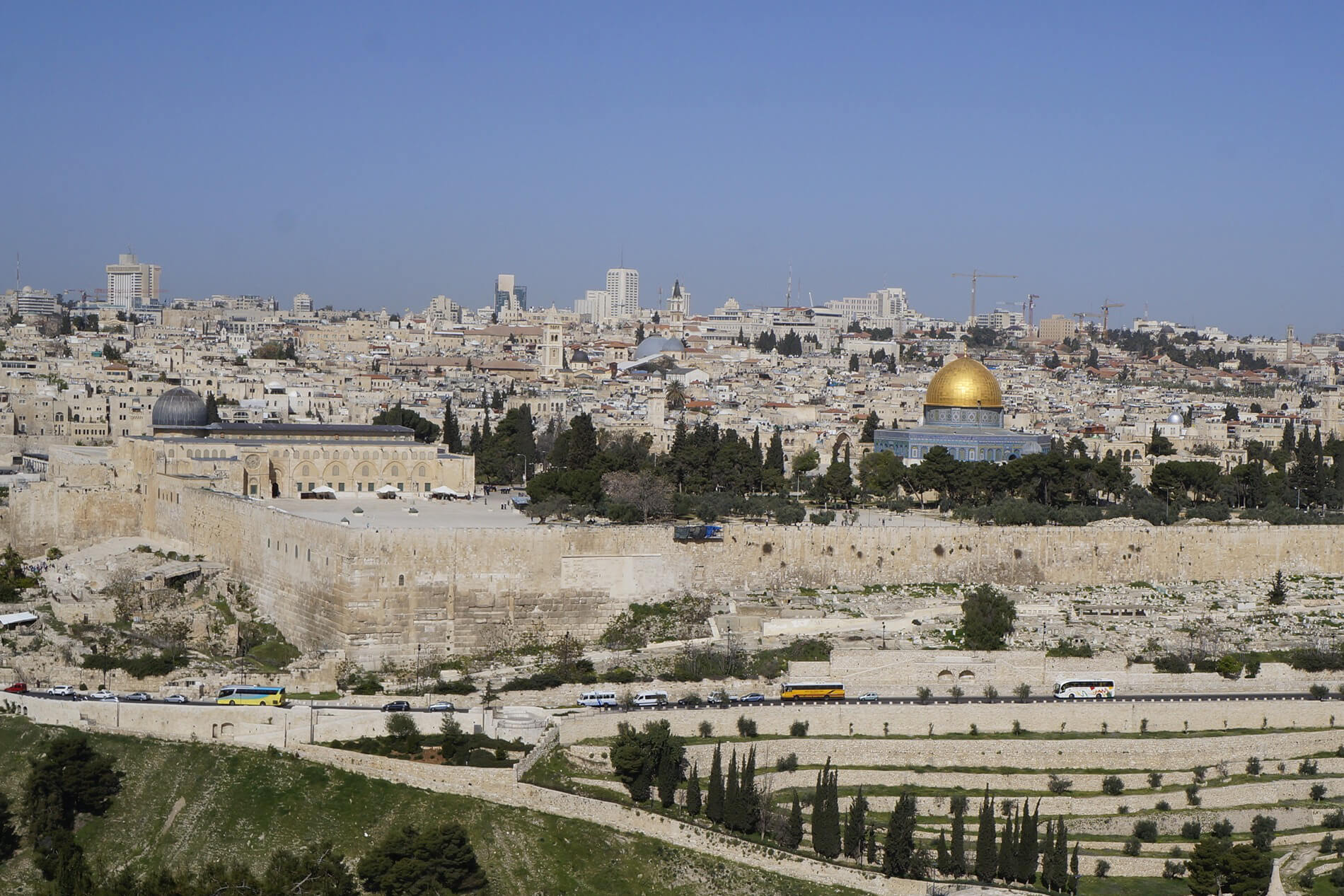 Palestine: Jewish Settlers Torch 100 of World’s Oldest Olive Trees