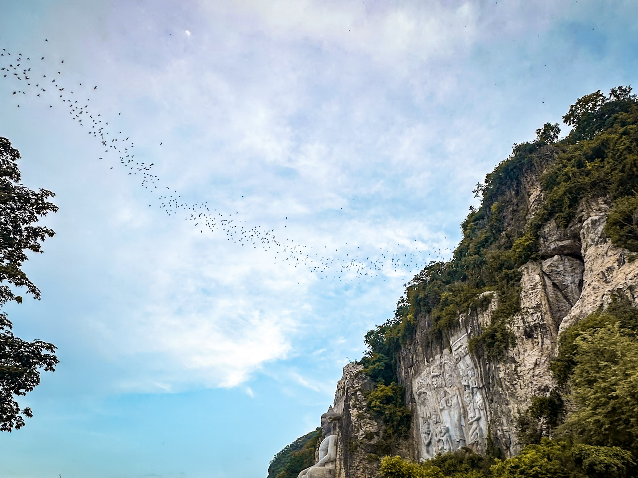 Cambogia thumbnail 9