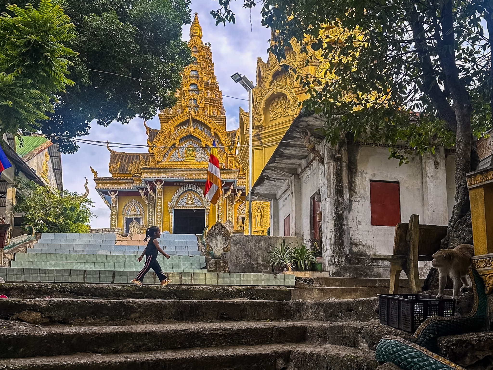 Cambogia thumbnail 8