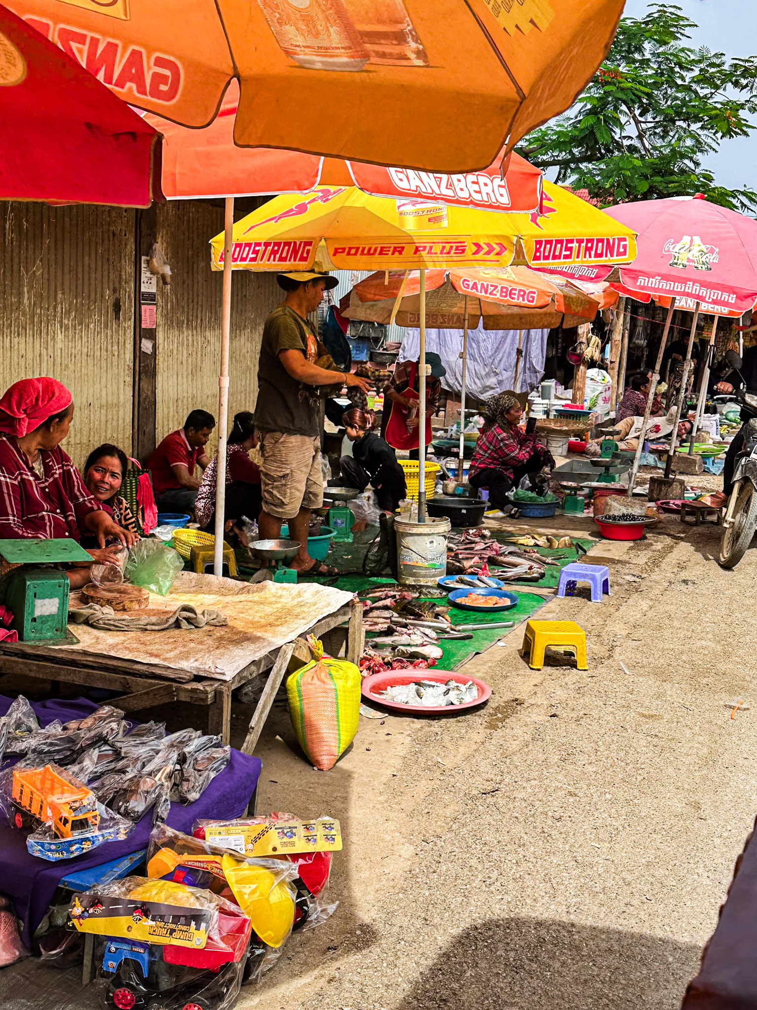 Cambogia thumbnail 5