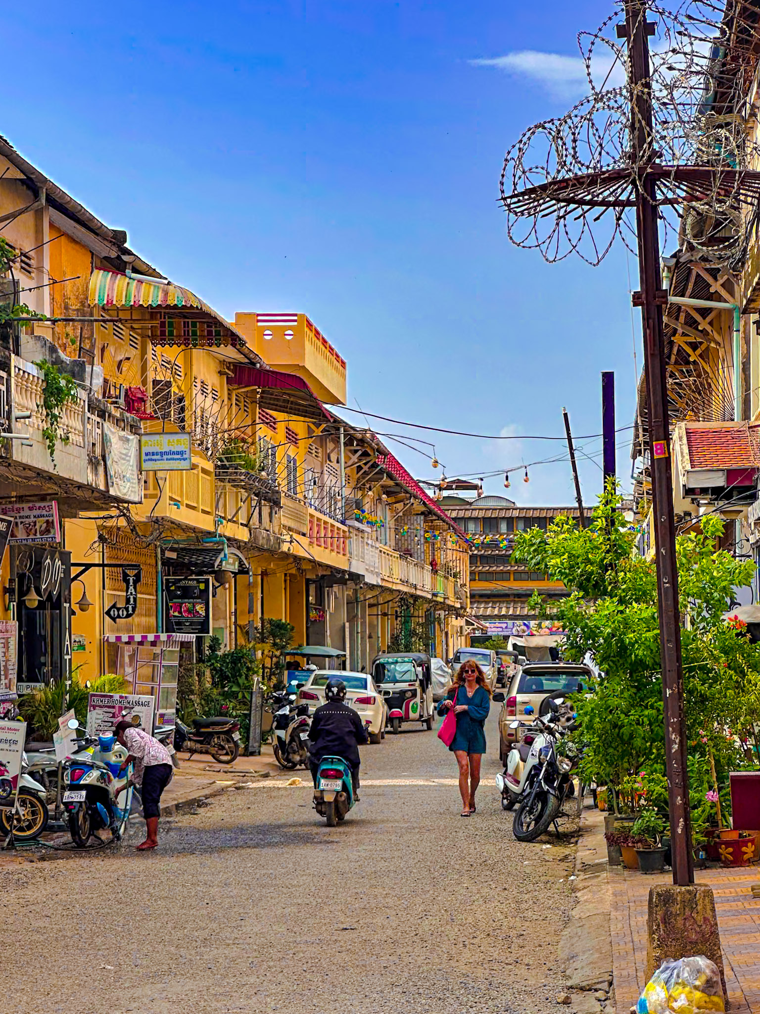 Cambogia thumbnail 3