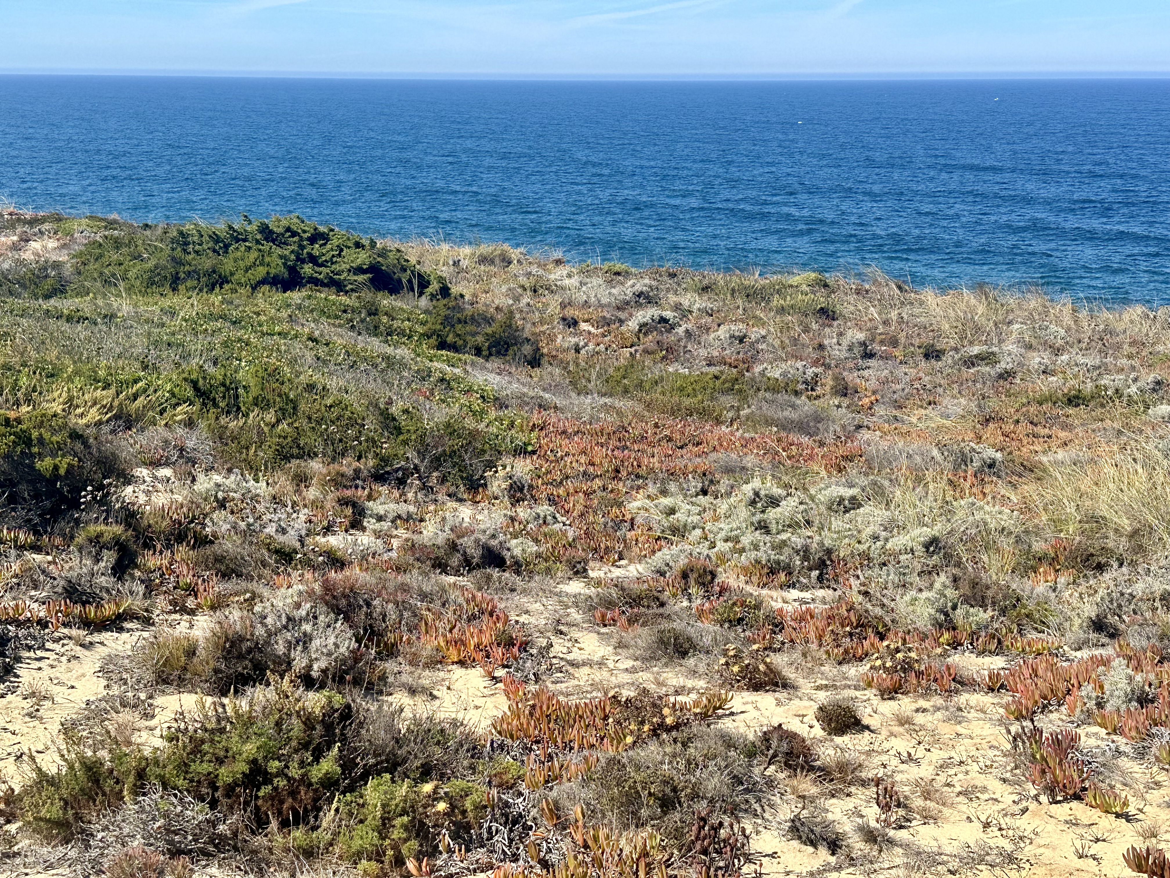Rota Vicentina - Fishermen's Trail thumbnail 4